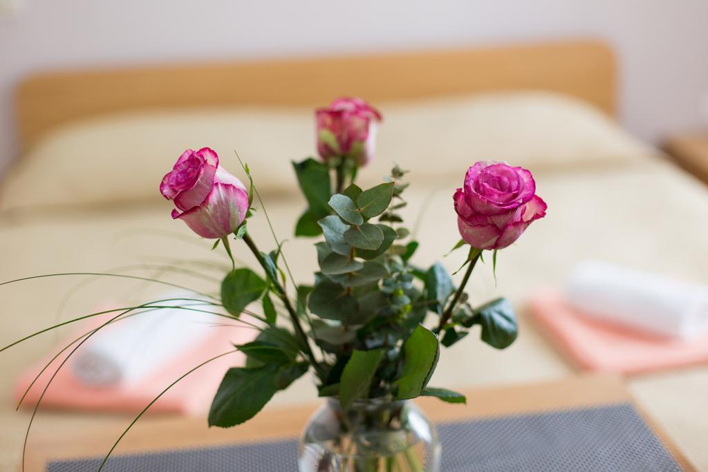 Nadija Studio Apartmani Krk Town Esterno foto